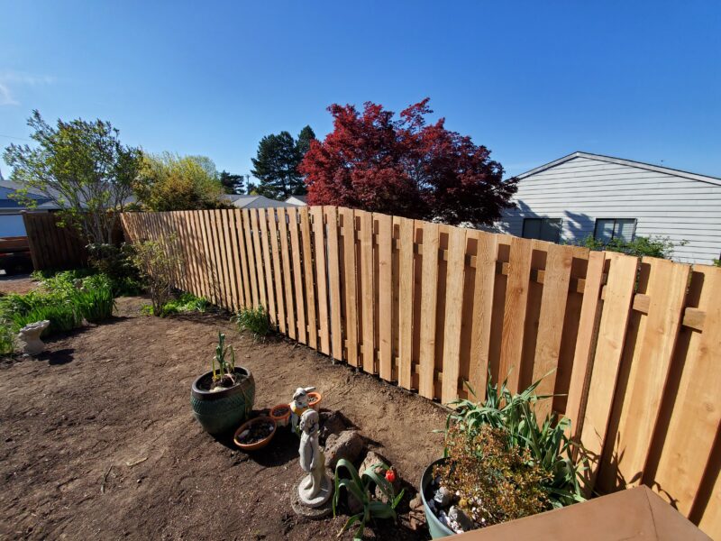 New cedar shadowbox fence running along a backyard with bare soil and potted plants in the foreground.
